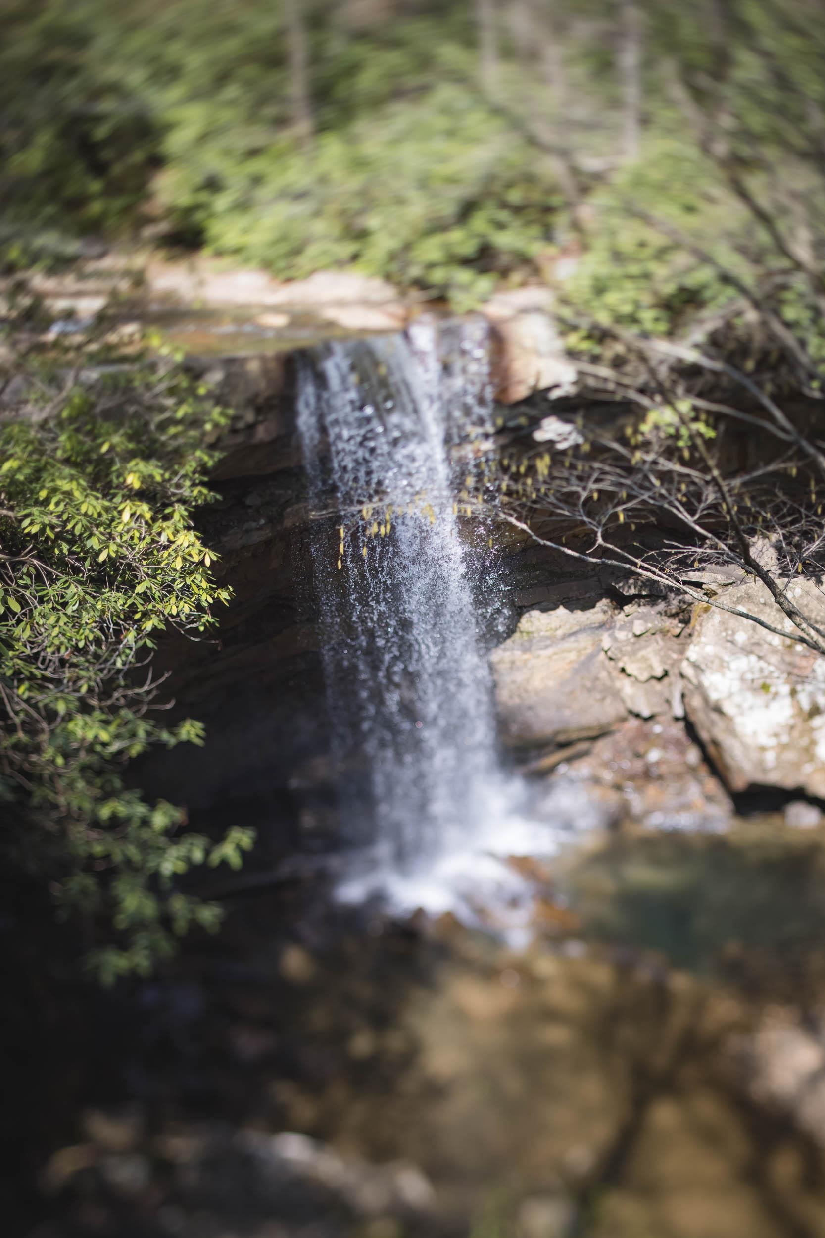 A photo of a rock-lined creek winding through woods