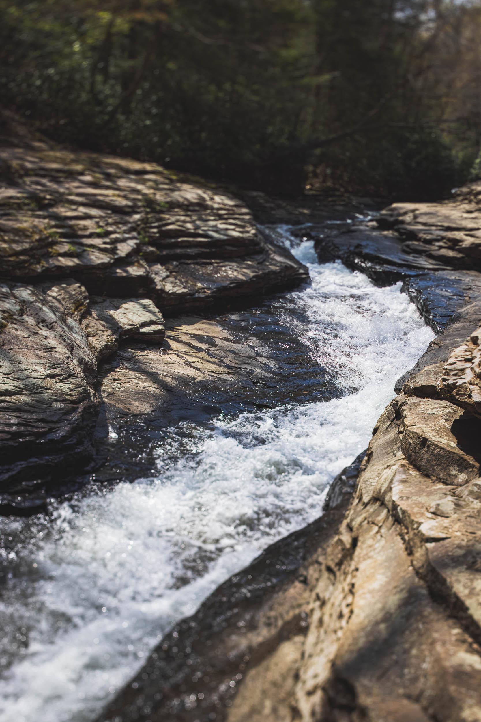 A photo of a rock-lined creek winding through woods
