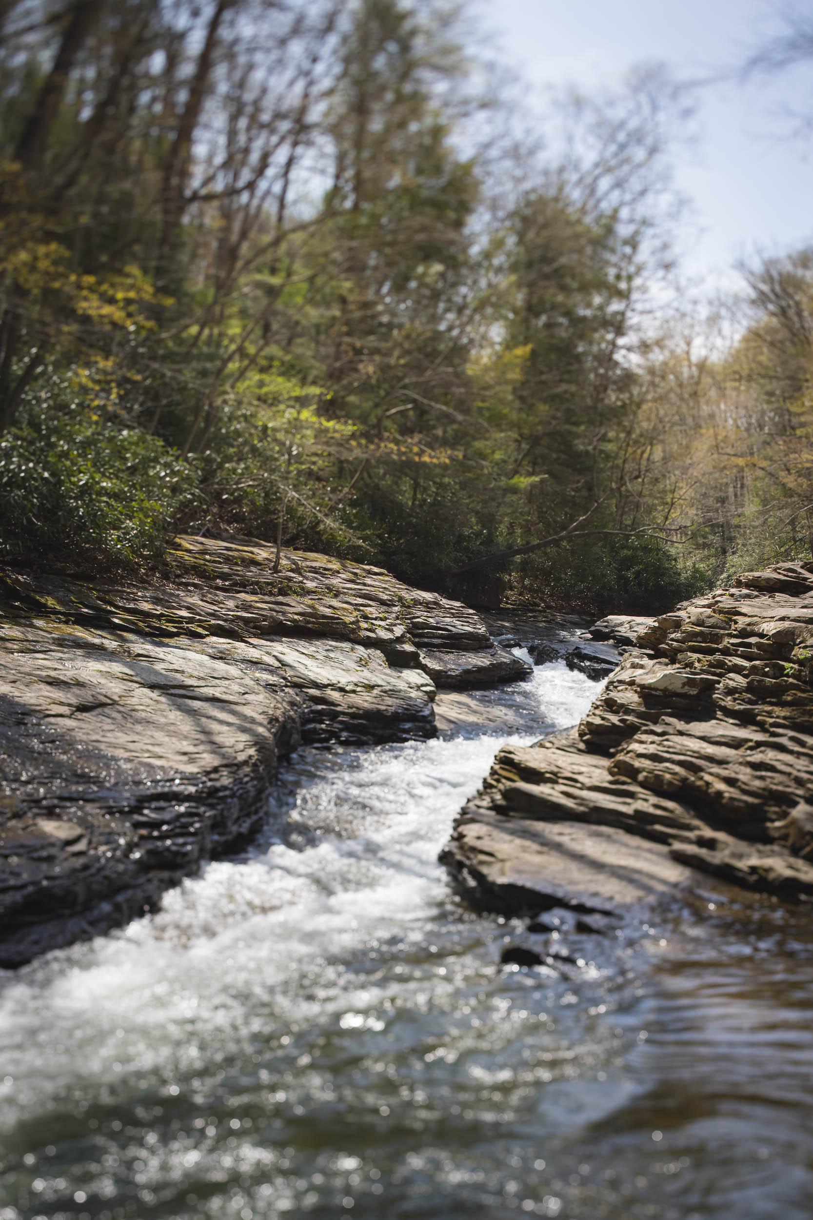A photo of a rock-lined creek winding through woods