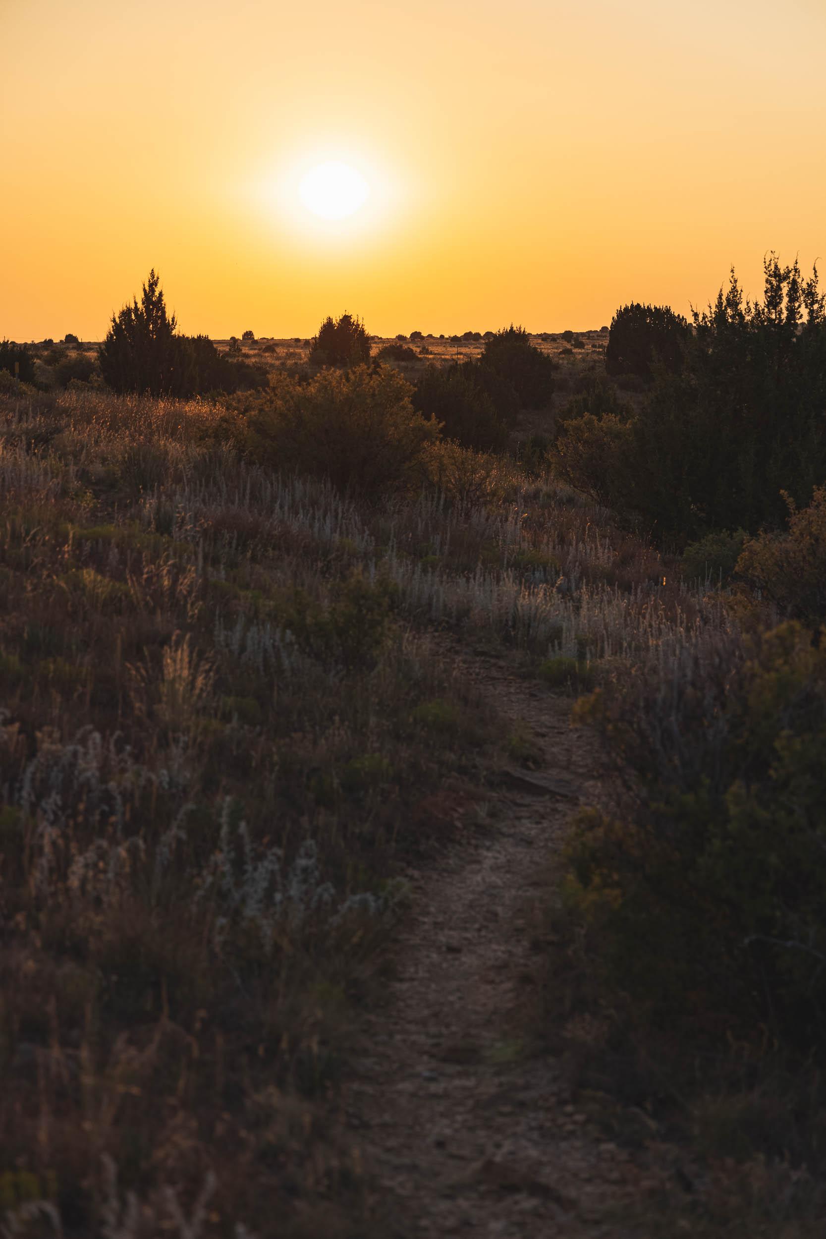 A hiking trail above the campsite