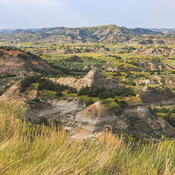 Theodore Roosevelt National Park, North Dakota, USA