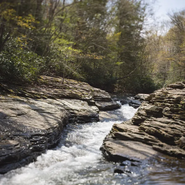 Ohiopyle State Park, Pennsylvania, USA