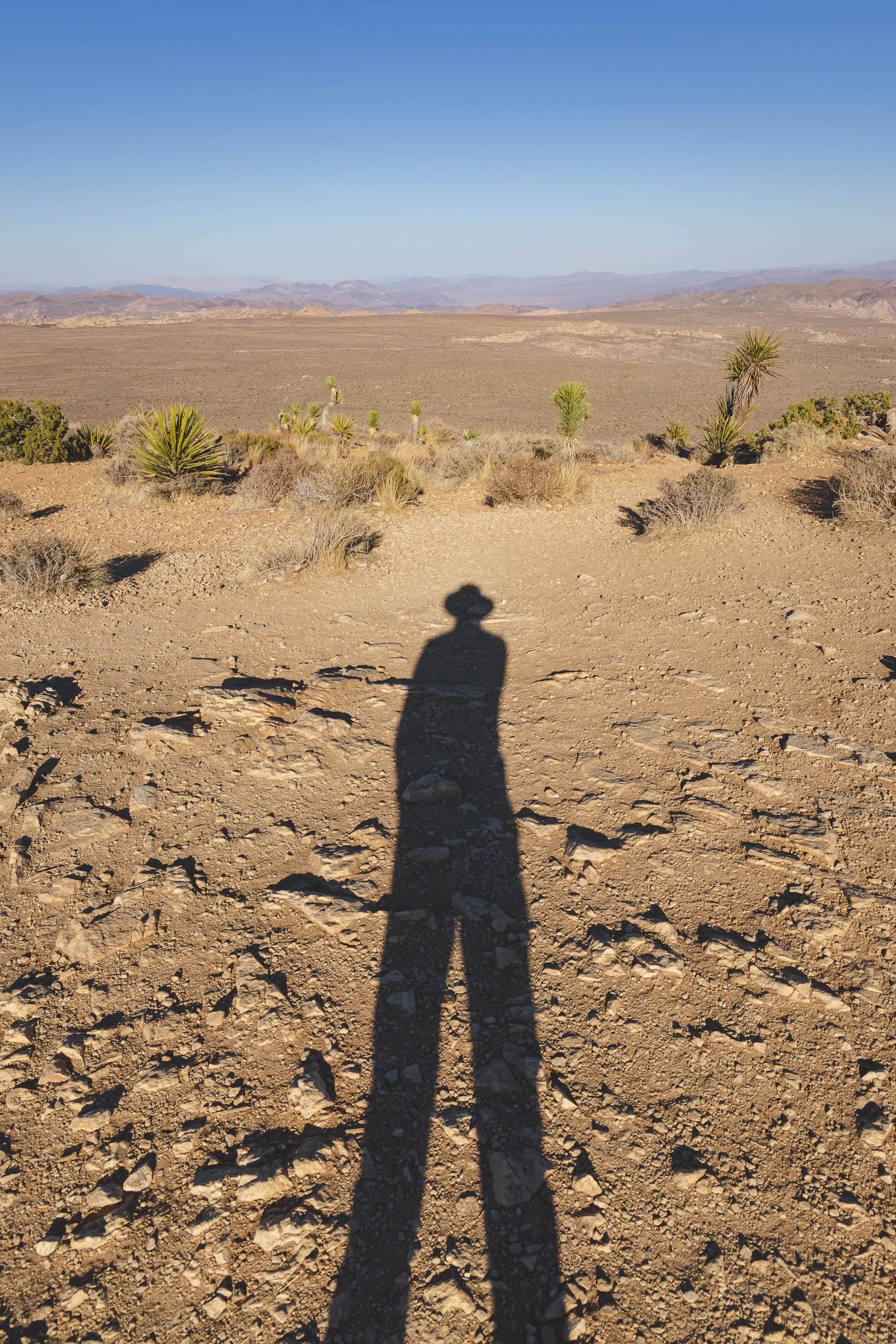 Me at the summit of Ryan Mountain