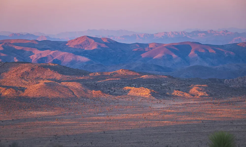 A Week Retreat in Joshua Tree National Park