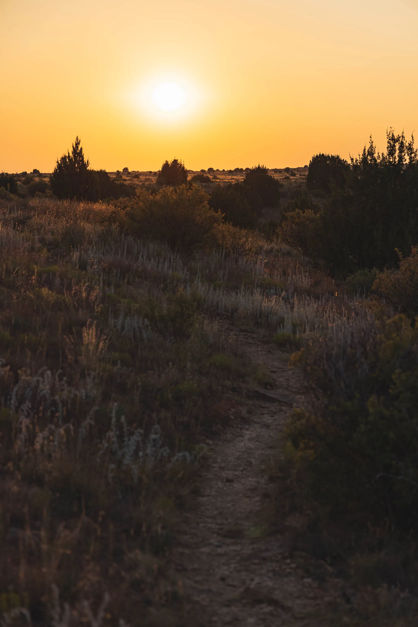 A hiking trail above the campsite