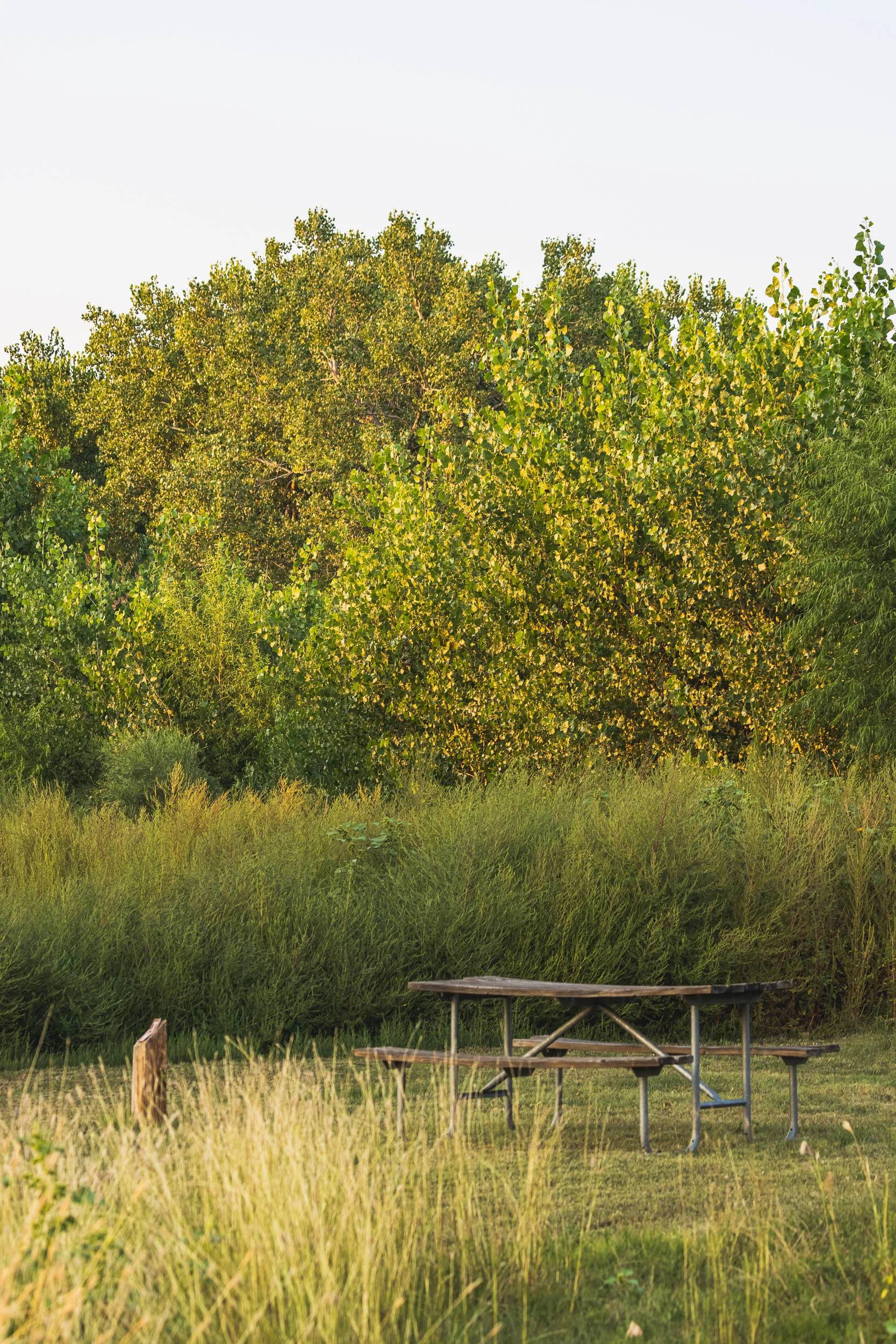 A view of my campsite