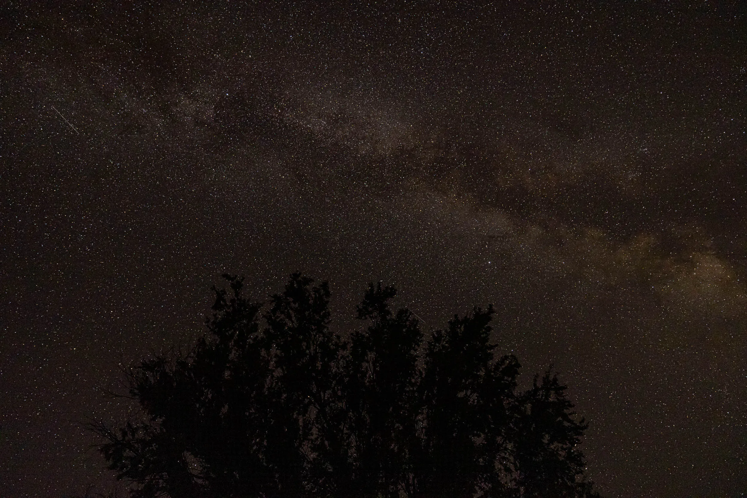 The Milky Way above the horizon