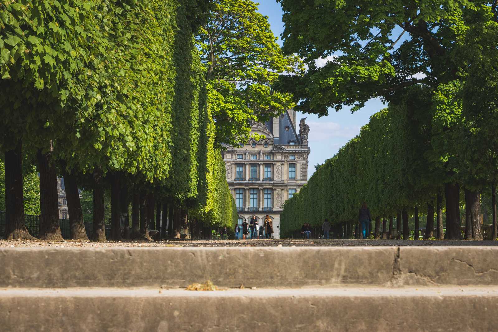A neatly paved path lined by tightly trimmed, very tall, and deep green hedges leads directly to a view of the Louvre, a massive palace with multi-story windows and dramatic stone architecture