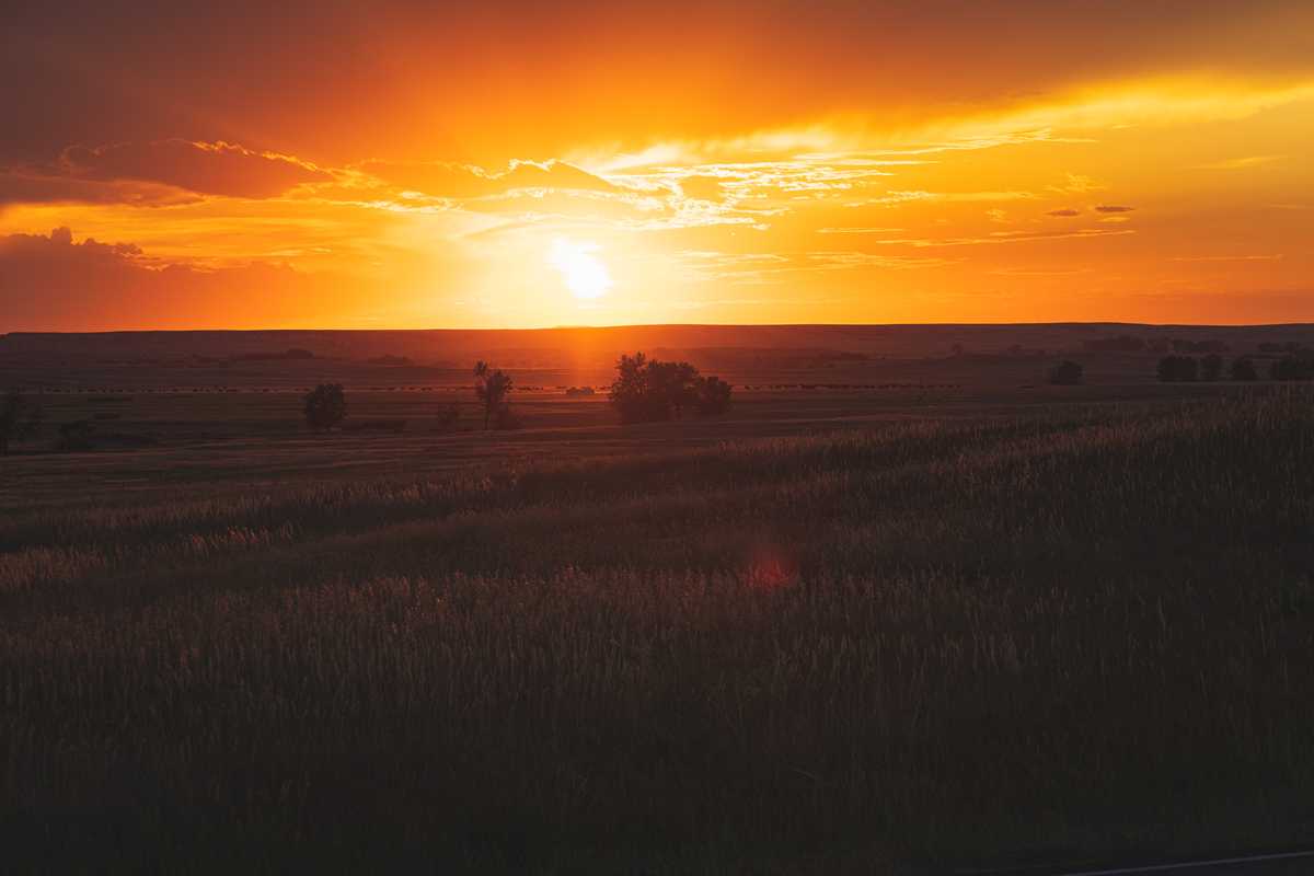 The sun sets, bursting the photo with deep oranges and yellows above a grassland puncuated by a few small trees and shrubs