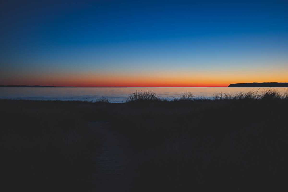 A view of the shoreline of Lake Michigan from a patch of tall grass as the sun rises