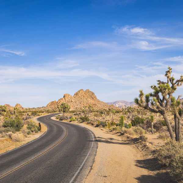 A winding desert road curves in an S shape through sandy desert, surrounded by joshua trees, with a large rocky hill on the near horizon