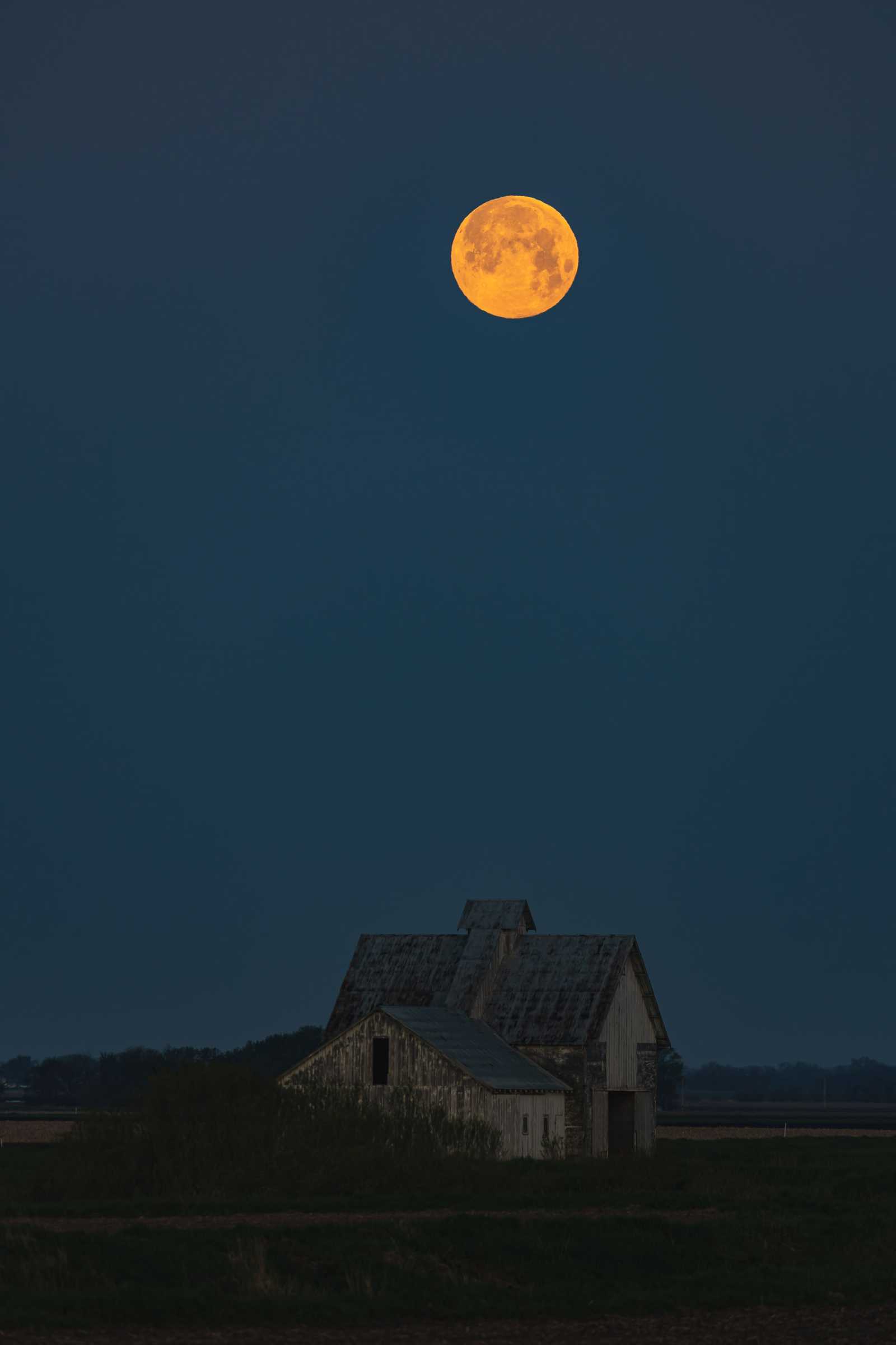 The moon sets as dawn brightens the sky above some farm buildings in a field