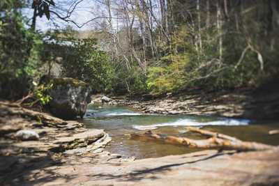 A photo of a creek surrounded by trees and limestone rocks.